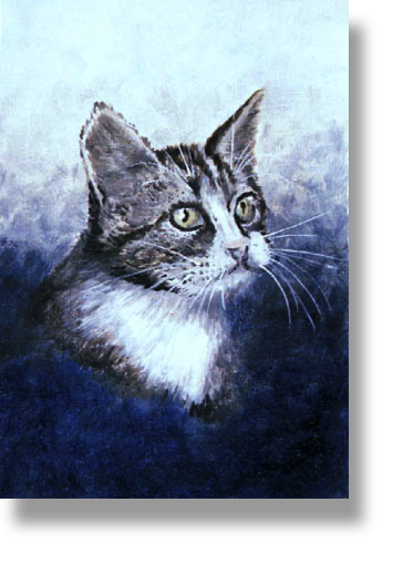 Kitty
Oil on Canvasboard
15 x 10 cm
Prijs € 145,-